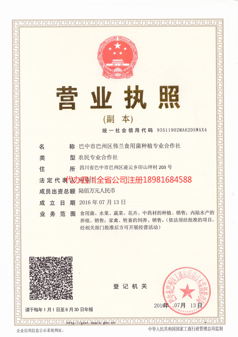 福泉福泉伟兰食用菌种植专业合作社